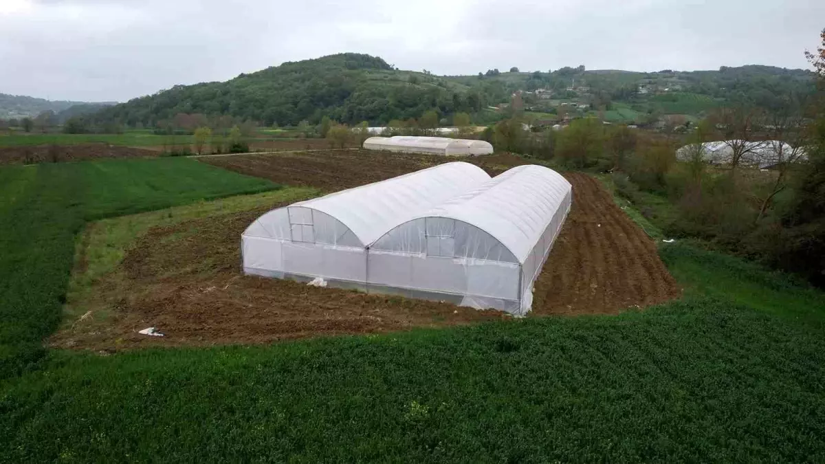 Kocaeli'den Çiftçilere Modern Sera Desteği