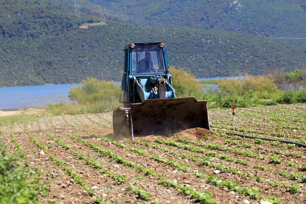 Çiftçiler Hakkında Çelişkili Eylem