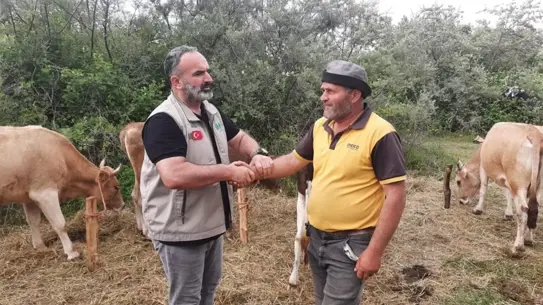 İHH'dan Kurban Bayramı Hazırlıkları
