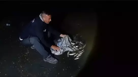 Van'da Kaçak İçi Kefali Denetimi