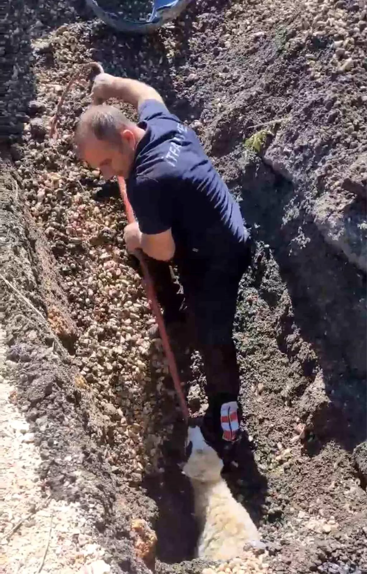 Kanalizasyonda Mahsur Kalan Kuzu Kurtarıldı