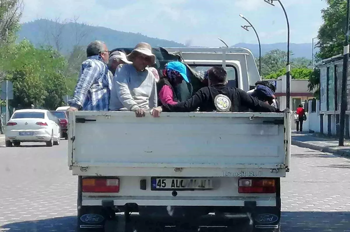 Tarım İşçileri Açık Kasa Kamyonette Tehlikede