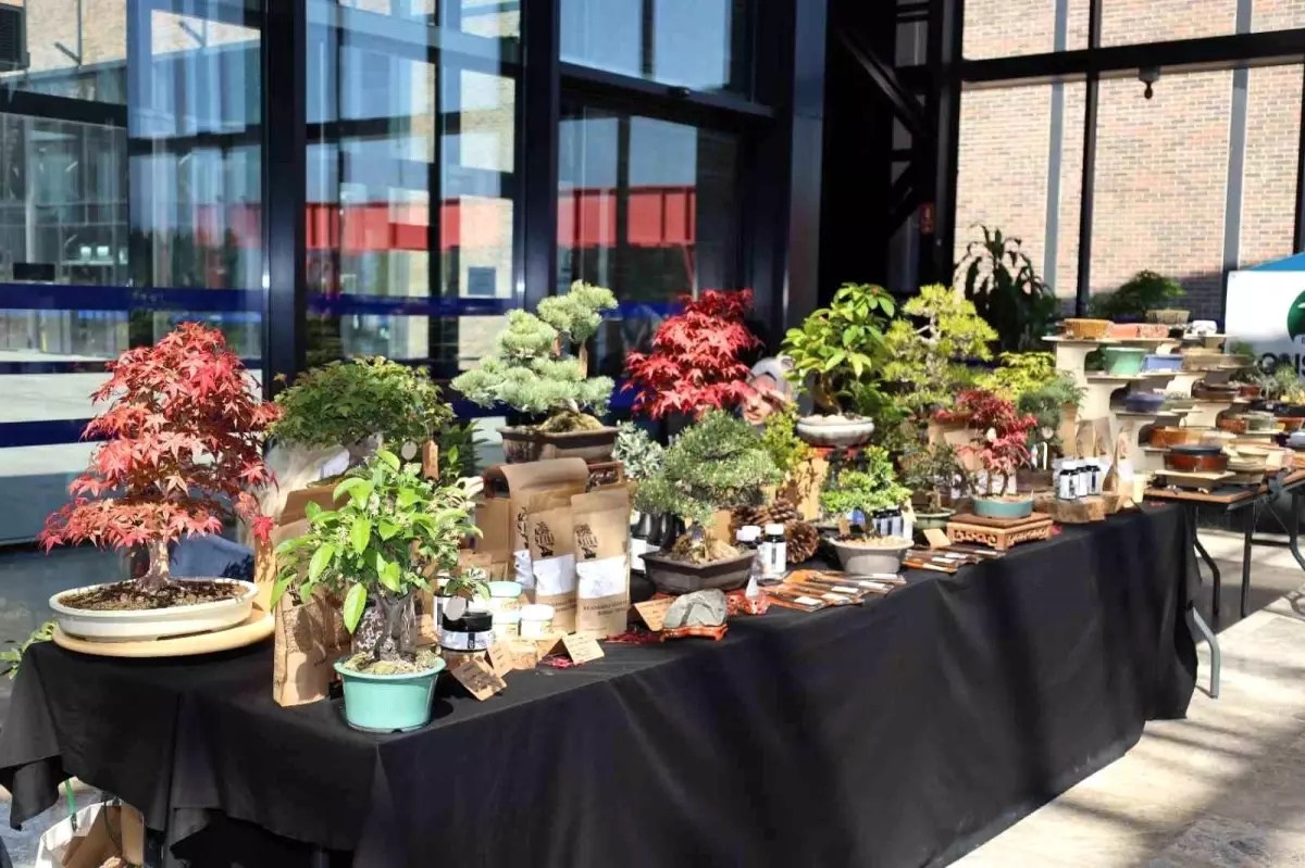 Kocaeli'de V. Ulusal Bonsai Sergisi ve Sempozyumu Düzenlendi
