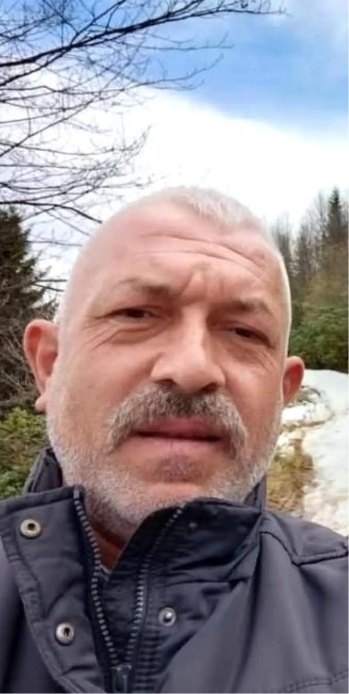 Giresun'da Ağaç Kesimi Faciası