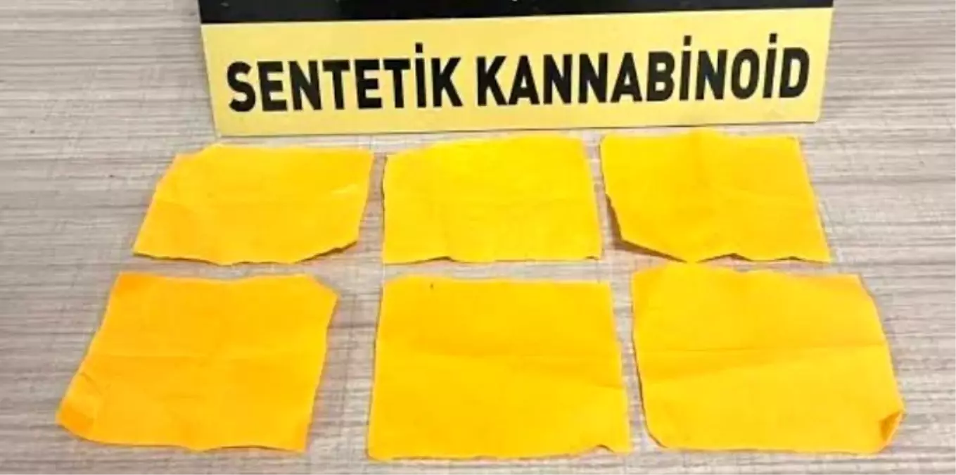 İstanbul'dan Bonzai Getiren Zehir Taciri Yakalandı
