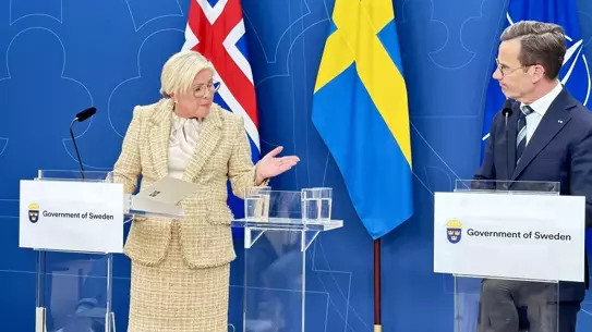 İsveç'ten NATO Harcama Önerisi