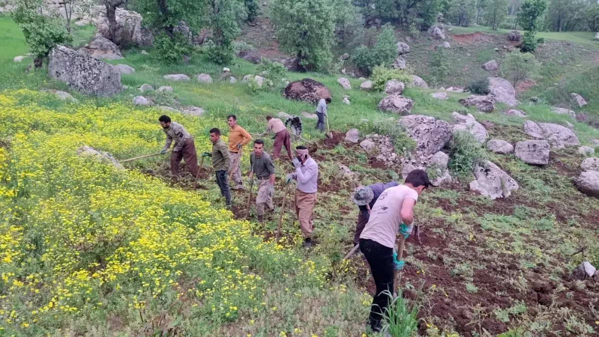 Derecik'te İmece Geleneği Devam Ediyor