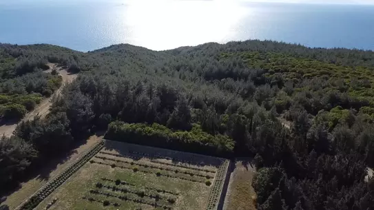 Çanakkale Savaşları'nda Mustafa Kemal'e yazılan rapor gün yüzüne çıktı
