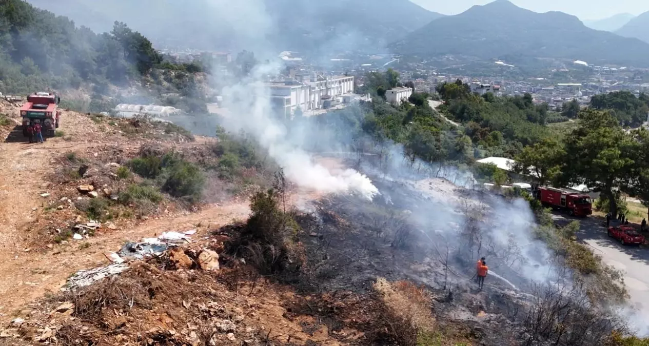 Alanya'da Yangın Korkusu: Makilik Alan Yangını Kontrol Altına Alındı