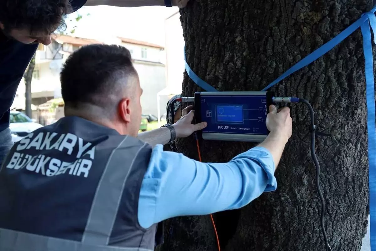 Sakarya, Ağaç Tomografi Cihazı Edindi