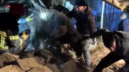Yüksekova'da Ahır Çöktü, Hayvanlar Kurtarıldı