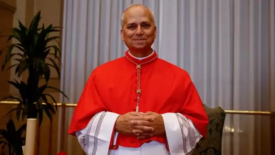 ABD'li ilk Papa 14. Leo'nun başını ağrıtacak cinsel istismar iddiası