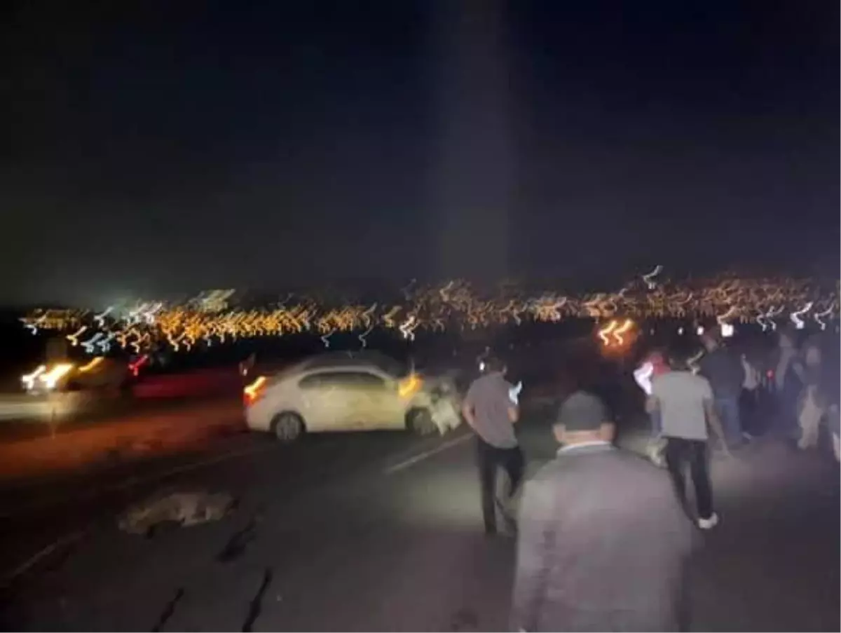 Elazığ'da Koyun Sürüsüne Otomobil Çarptı