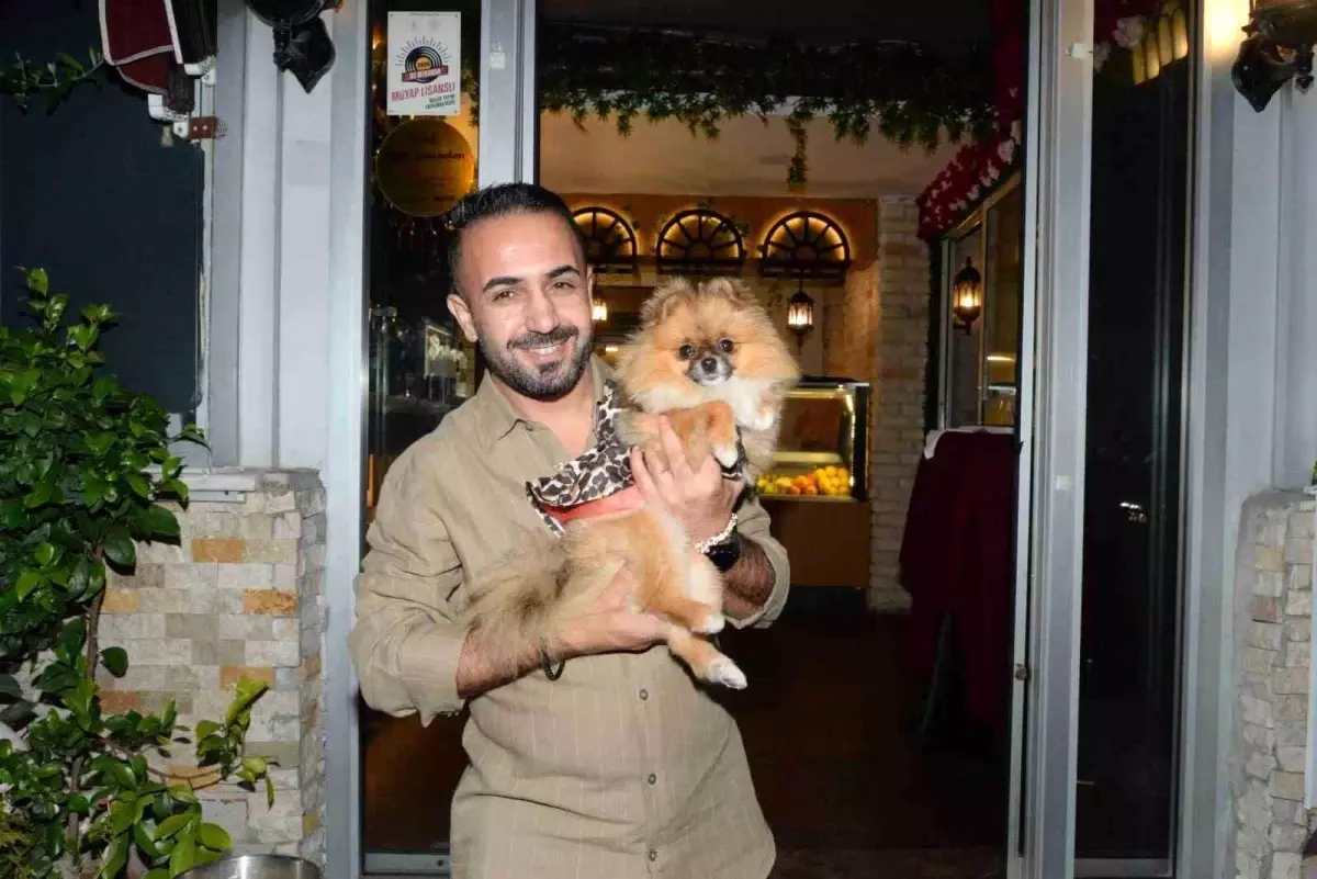 Yarışma Birincisi Köpeği Çalındı