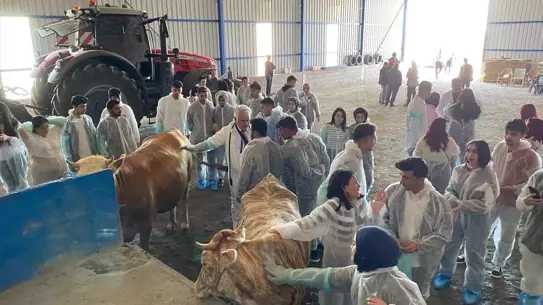 TOGÜ'den Veteriner Öğrencilere Uygulamalı Eğitim