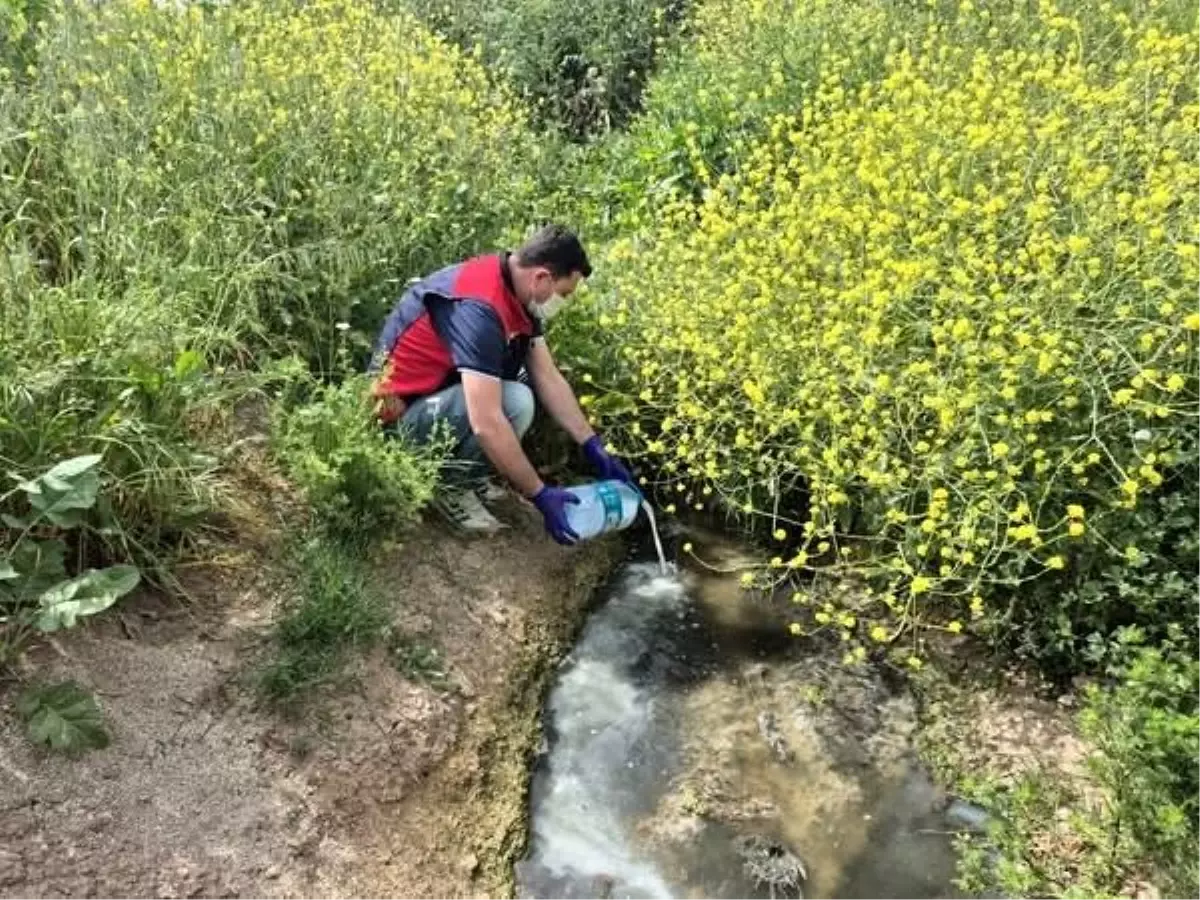 Çanakkale'de Sivrisinek Mücadelesi Başladı
