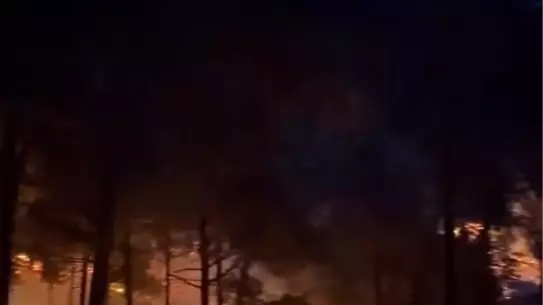 Mersin Tarsus'ta Orman Yangını Kontrol Altına Alındı