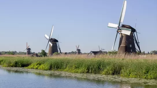 Ulusal Değirmen Günü'nde Hollanda Açık