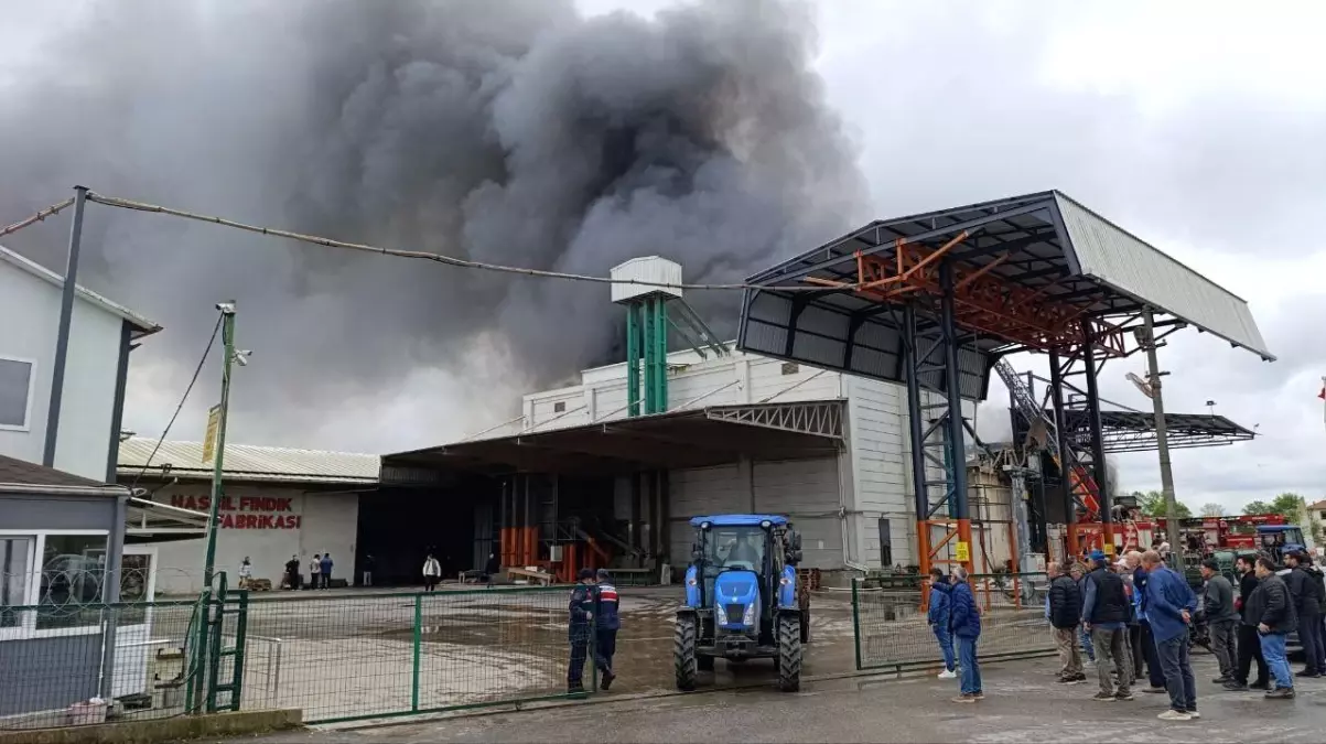 Karasu'da Fındık Fabrikasında Yangın