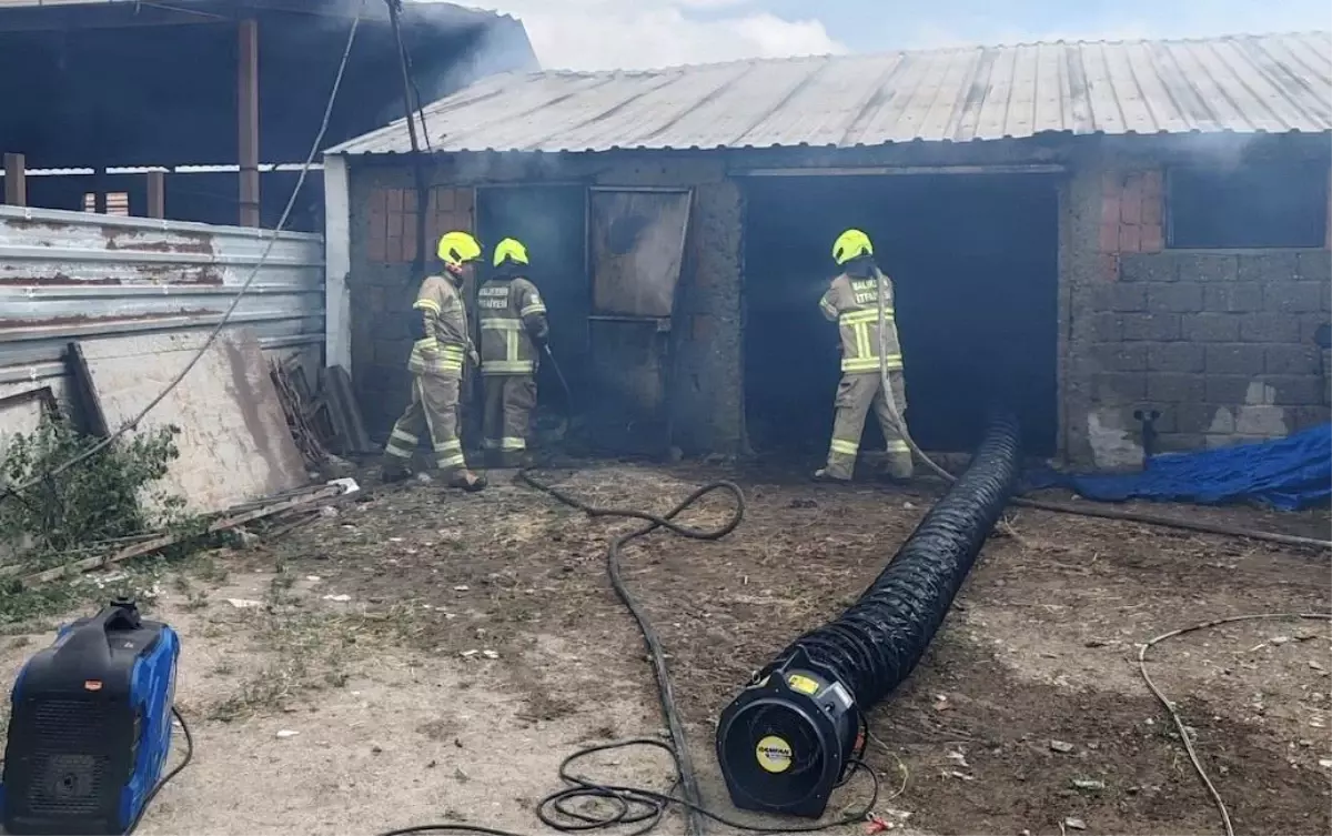 Balıkesir'de Ahır Yangını: 42 Hayvan Telef Oldu