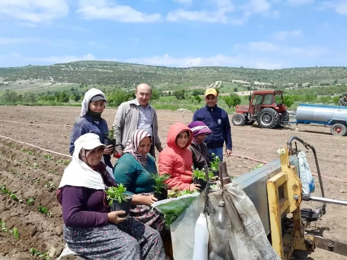 CHP'den Anneler Günü Ziyareti