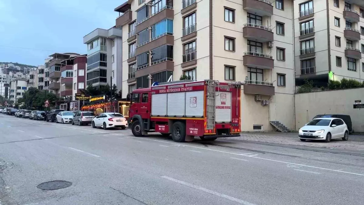 Bursa'da Yavru Kedi Aracın Motoruna Sıkıştı