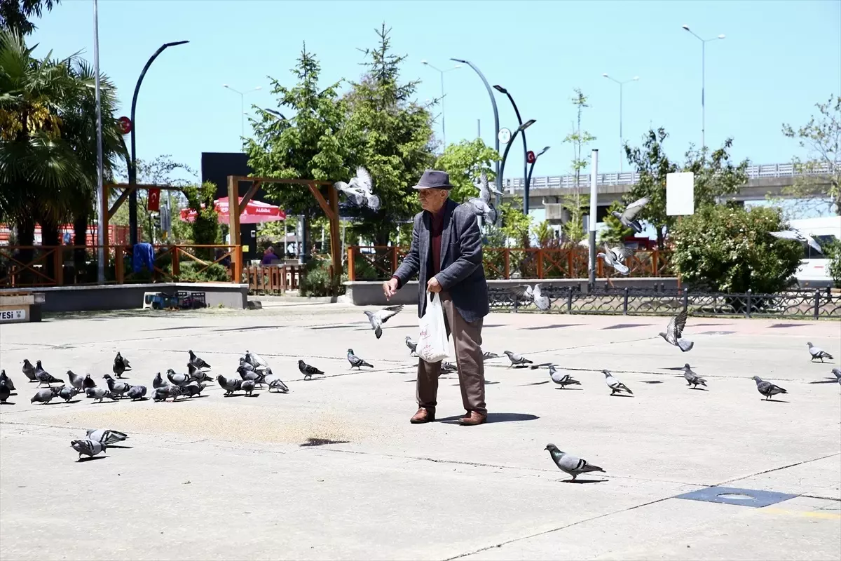 92 Yaşındaki Ali Haydar'ın Güvercin Sevgisi