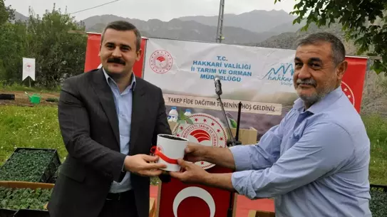 Çukurca'da Çiftçilere 43 Bin Fideler Dağıtıldı