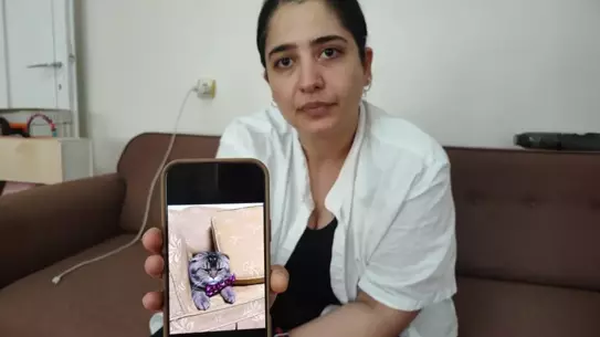 Kaybolan Kedisine 15 Bin Lira Ödül