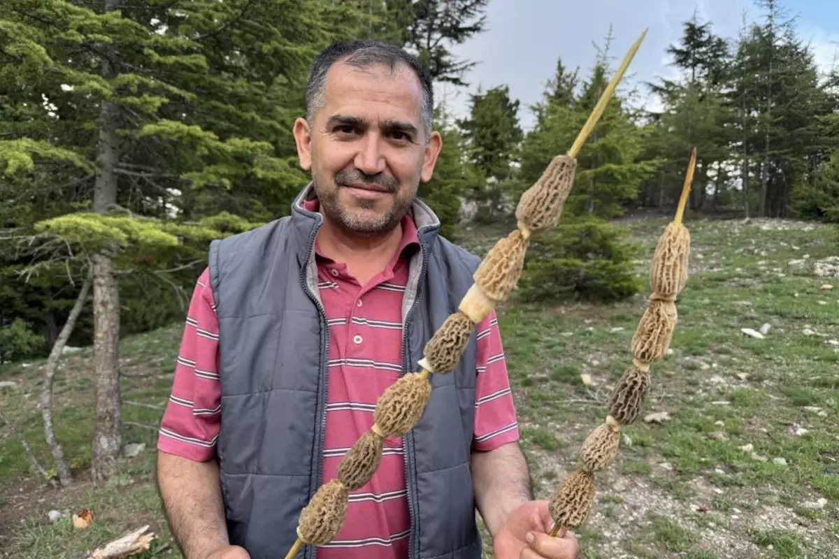 Toplaması bir tutku: Altın bulsak belki bu kadar sevinmeyiz