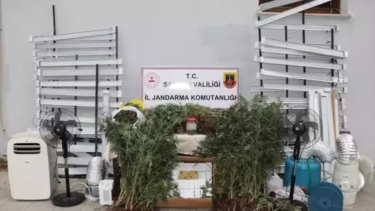 Samsun'da Uyuşturucu Operasyonu