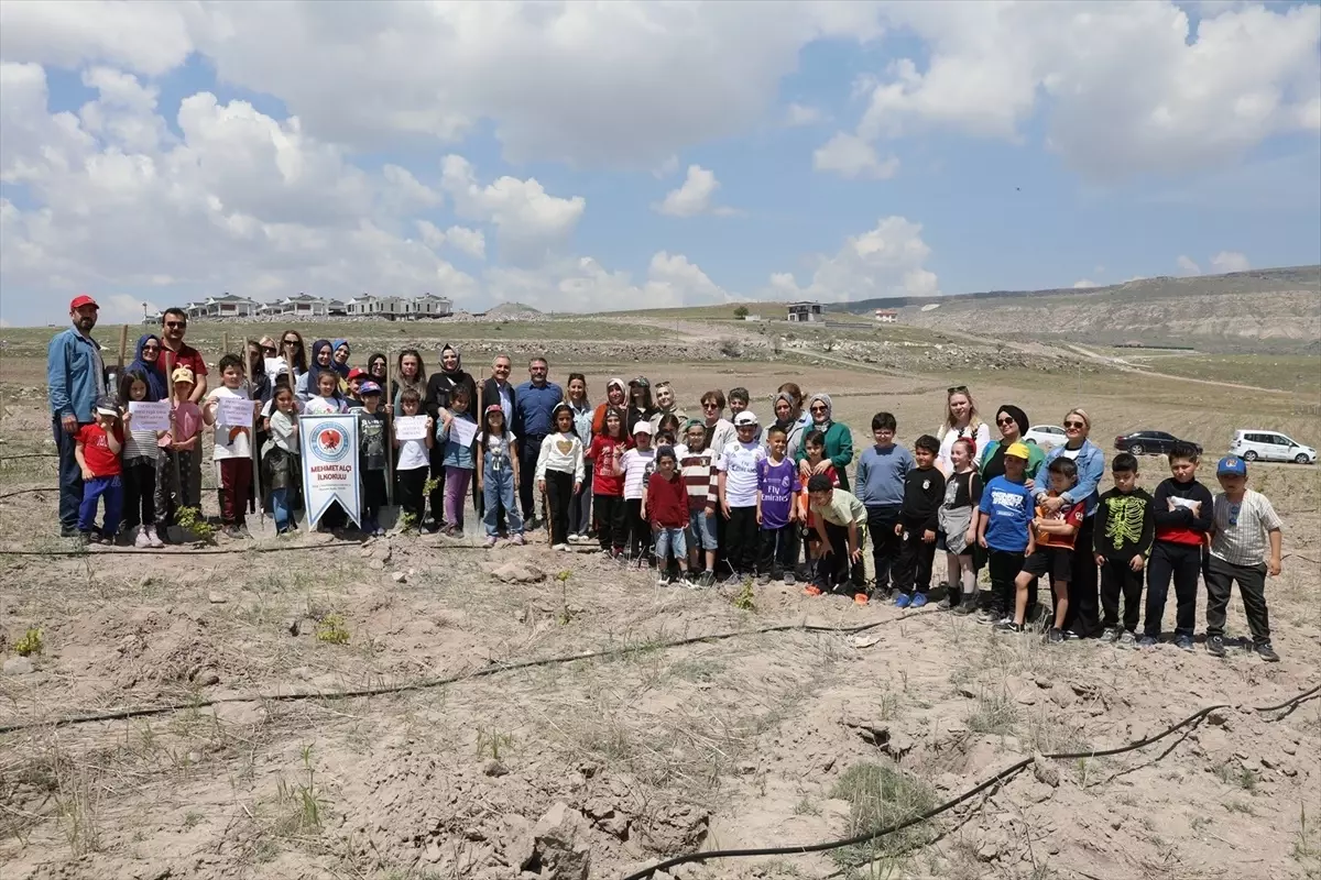 Kayseri'de Öğrenciler Gilaburu Dikti