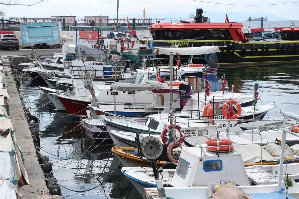 Tekirdağ'da Taze Balık Avı Devam Ediyor
