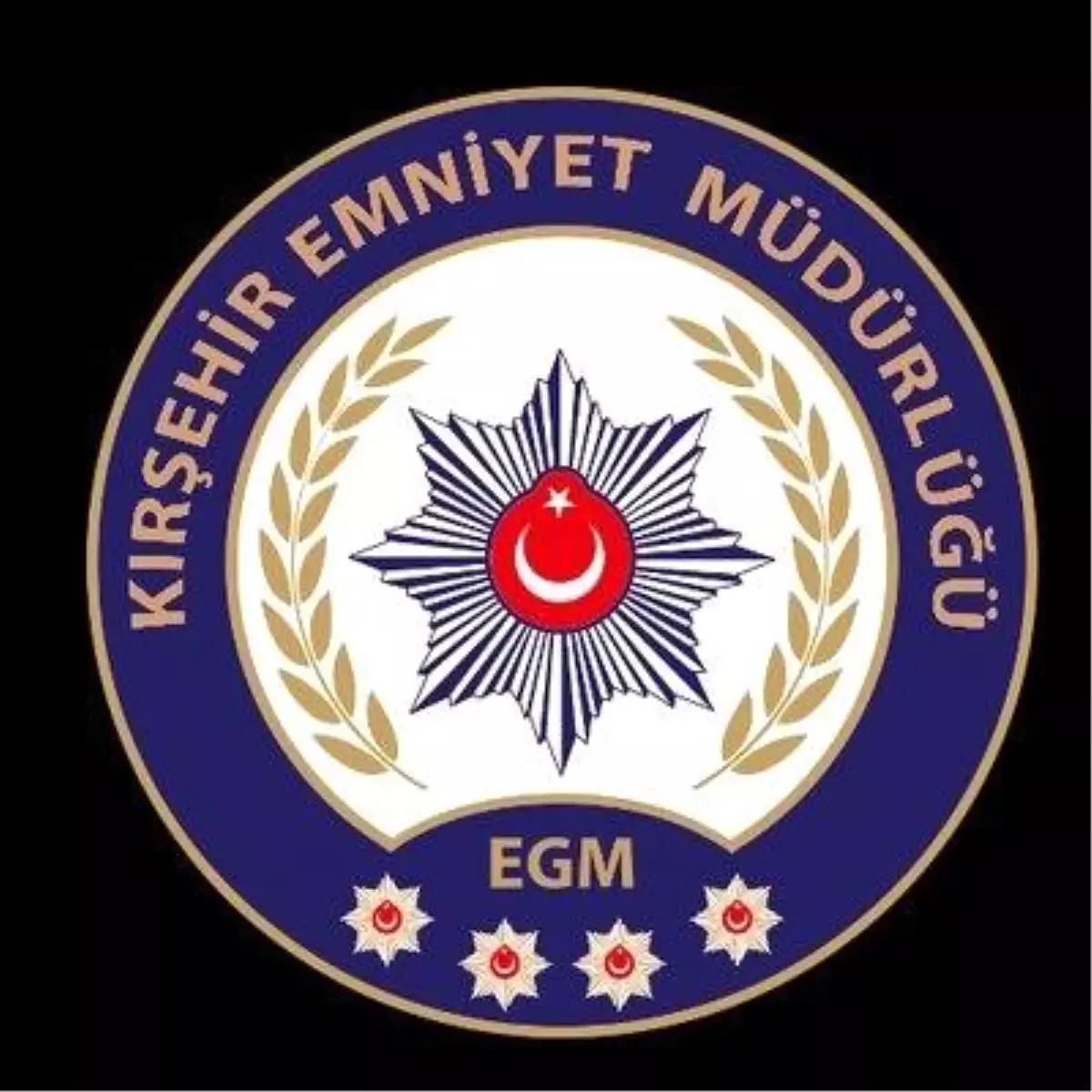 Kırşehir'de Terör Operasyonları: 2 Tutuklama