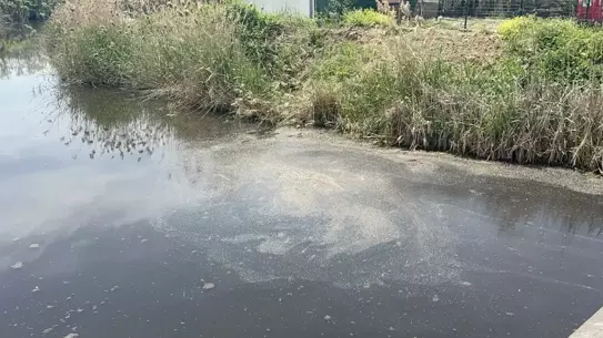 Yalova'da Kanalizasyon Cezası