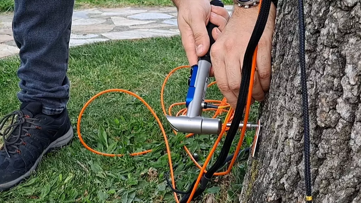 Sakarya'da Ağaç Sağlığı Akustik Tomografi ile İzleniyor