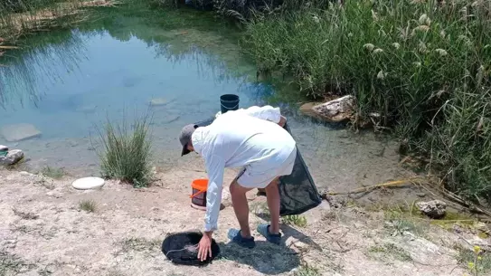 Eskişehir'de Kaçak Balık Avcılığına Suçüstü