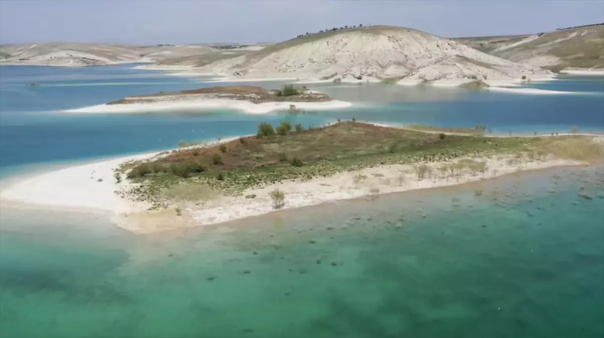 Martı Adası'nda Yuvalama Dönemi