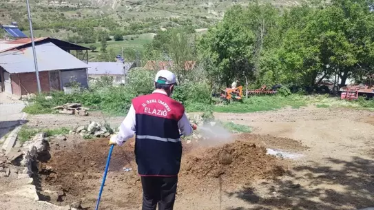 Ağın'da Haşere İlaçlaması