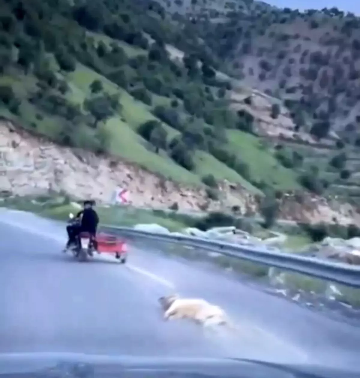 Kahramanmaraş'ta Köpek Sürükleme Skandalı