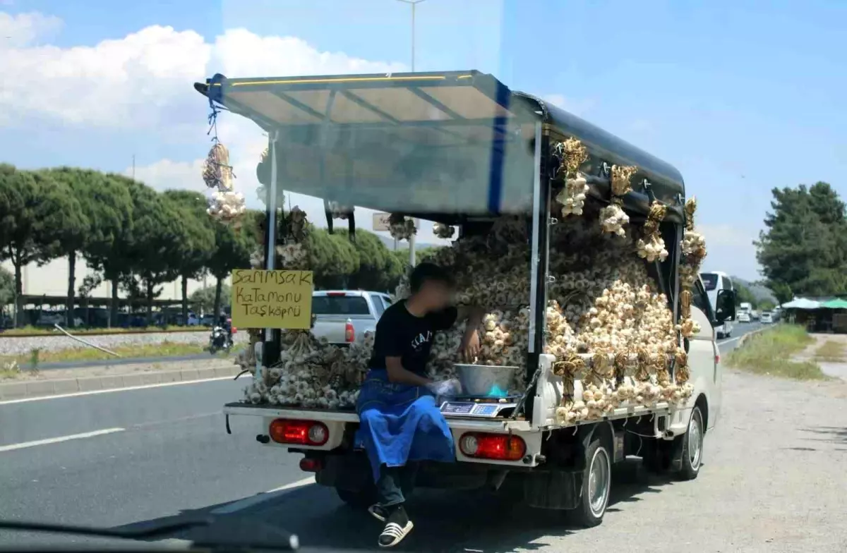 Sarımsak Kamyonetindeki Tehlikeli Yolculuk