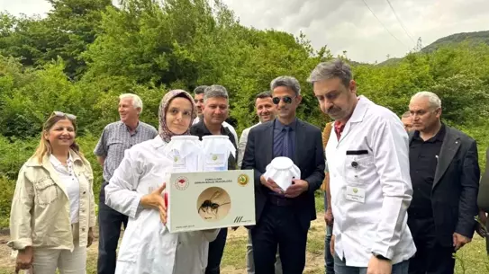 Kestane Gal Arısına Biyolojik Mücadele