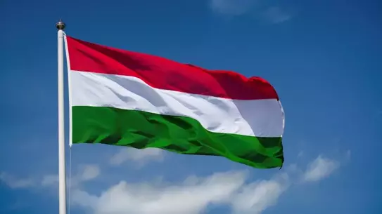 Macaristan UCM'den Ayrıldı