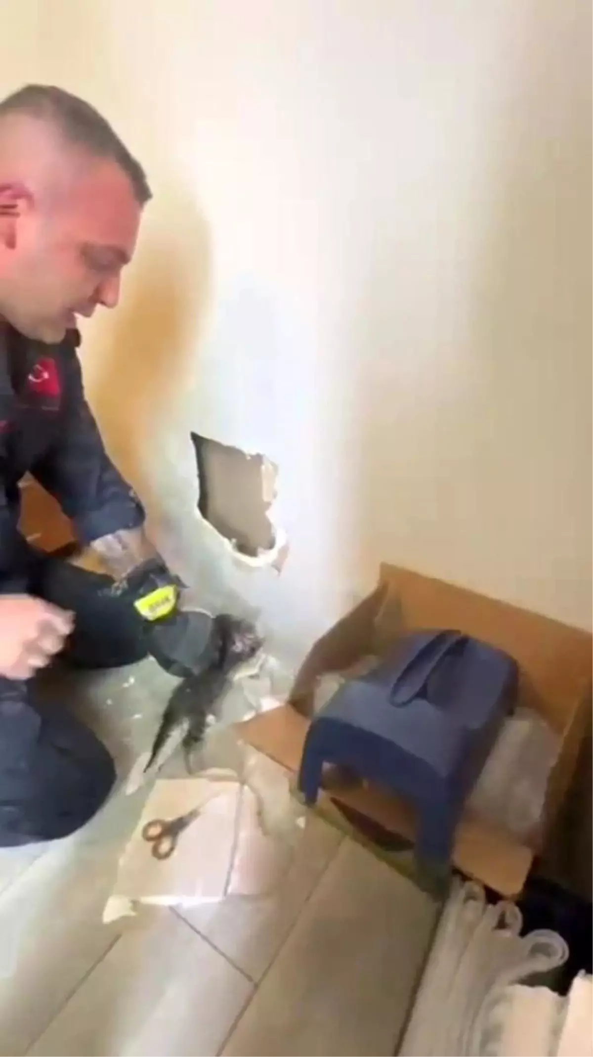 Kozlu'da Yavru Kediler Duvar Boşluğunda Mahsur Kaldı