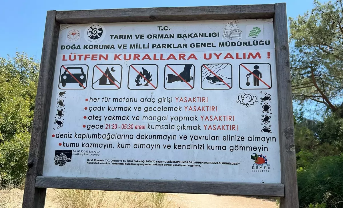 Deniz Kaplumbağaları İçin Gece Giriş Yasağı