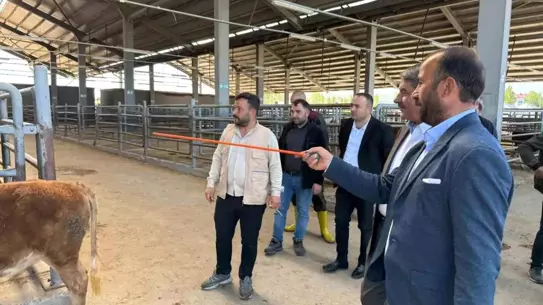 Patnos Belediye Başkanı Kurban Bayramı Hazırlıklarını İnceledi