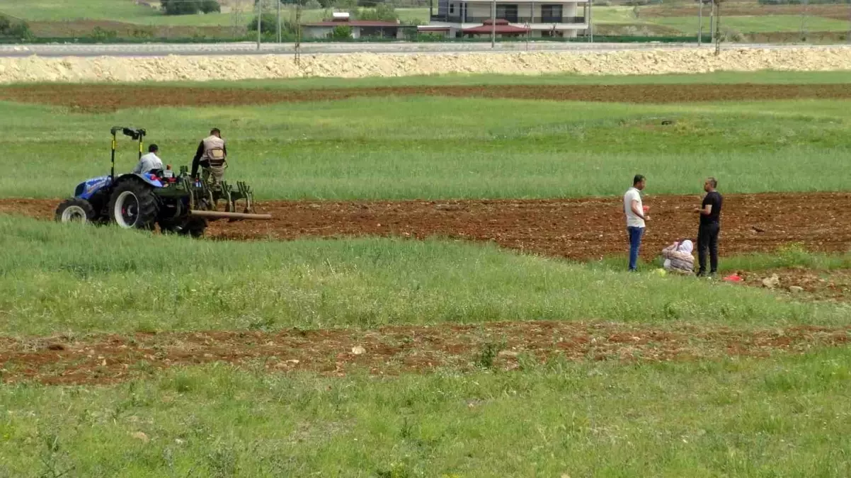 Gercüş'te Karpuz ve Kavun Ekimine Başlandı