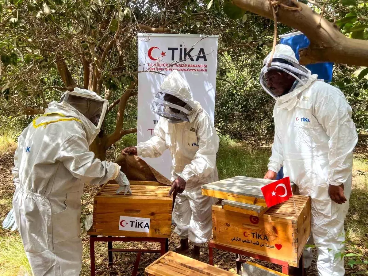 TİKA, Sudan'da Arıcılığa Destek Verdi