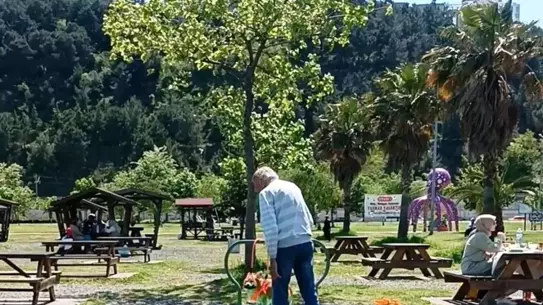 Samsun'da Köpek Parkta Eğlendi