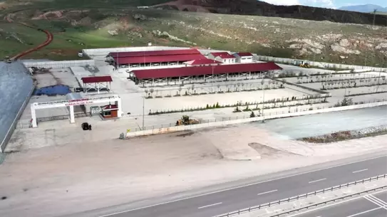 Sivas'ta Kurban Pazarı İçin Kura Çekimi Gerçekleştirildi